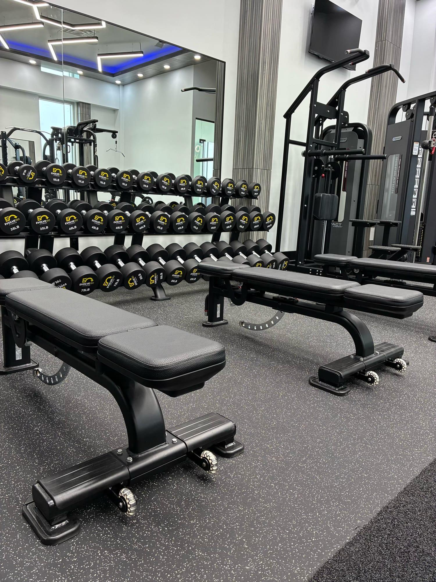 Adjustable benches in front of a full dumbbell rack